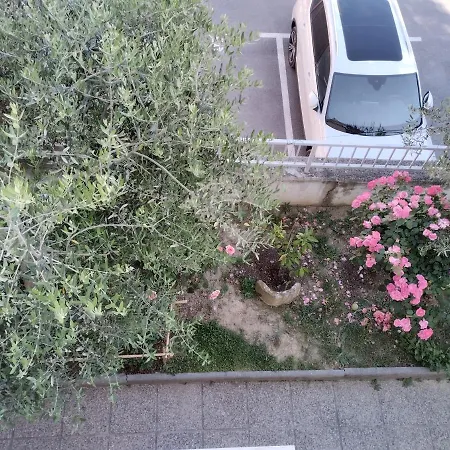 Rene בפורטורוז